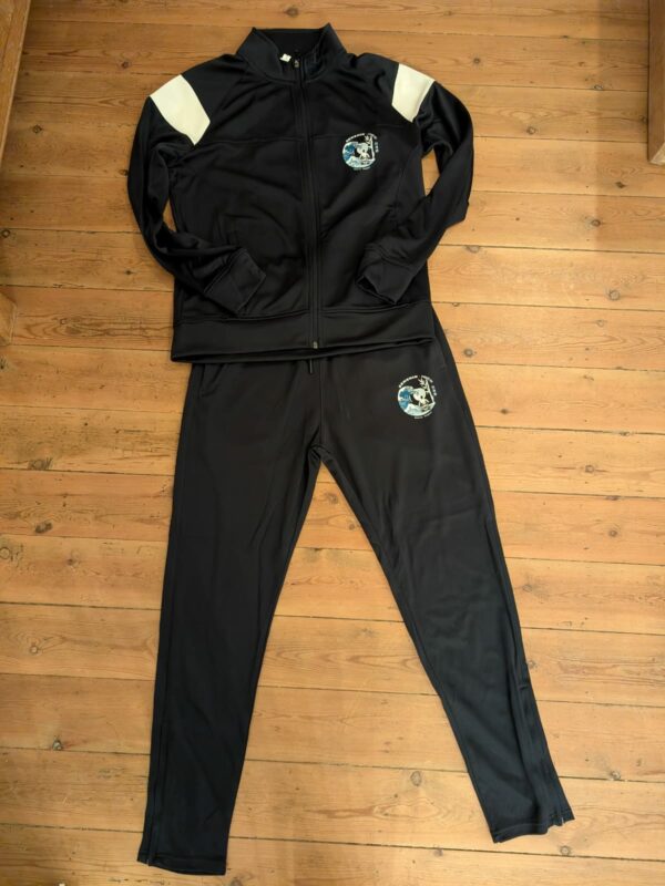 Training Senshin Karate Do